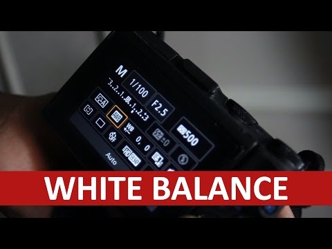 BELAJAR FOTO #6 : WHITE BALANCE