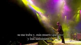 the verve velvet morning español subtitulos