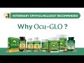 #1 Veterinary Ophthalmologist Recommended Vision Supplement Brand in the World! #ocuglo #pethealth