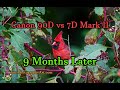 Canon 90D vs 7D Mark II, 9 Months Later