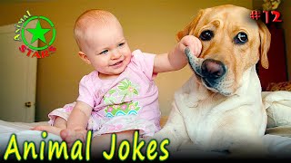 Animal Jokes 🐶 🐒 🐼 Funny Dogs Cute Cats Amazing Pets Funny Jokes 2020 №12 by Animal Stars 83,029 views 3 years ago 5 minutes, 6 seconds