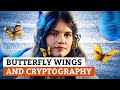 How to Create an Unbreakable Cipher: Chaos Theory vs Quantum Cryptography