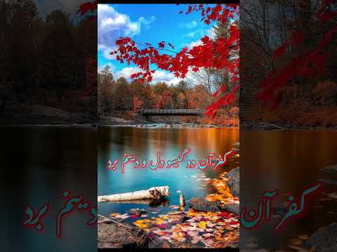    آهنگ ما را بس