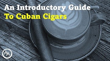 Cigars 101: The Ultimate Beginner