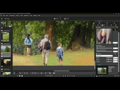 Digital photo professional 4
