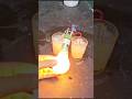 **"How to Build a Free Electricity Generator Using Water and Salt: Amazing DIY Project!"**