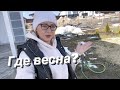 #влог ОБЗОР ЦЕН и полочек в магазине /  Жизнь в России/Life in Russia/What Does it Cost in Russia?