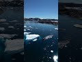 The Sounds of Underwater Icebergs #shorts