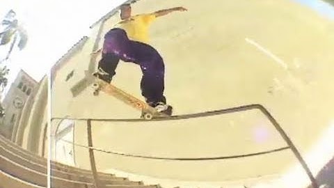 Classics - Photosynthesis