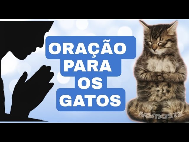 Aprenda a poderosa oração pelos animais doentes - Blog Astrocentro