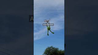 Kermit VS Drone