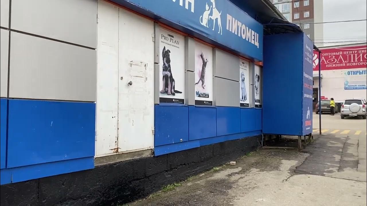 Сластена, кондитерская, ул. Бекетова, 3А, корп. 18, Нижний Новгород - Яндекс Кар