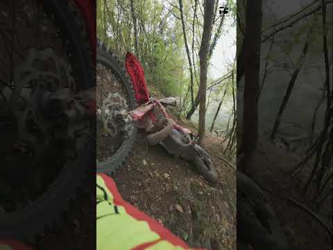 Randonnée Sauzé Vaussais 2025