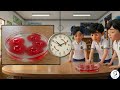 Why are air sacs so small ? (Cambridge Science_ Year 8)