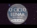 Leis Referentes a Rosh Chodesh (Parte 3)