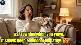 Celebrity Redefining How We Understand Our Dogs 🐾 Net Worth