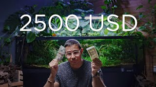 💰Aquascaping is an EXPENSIVE hobby!💰