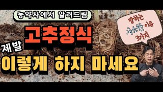 고추정식할 때, 망할 수 있는 아주 '사소한' 이유 몇가지!