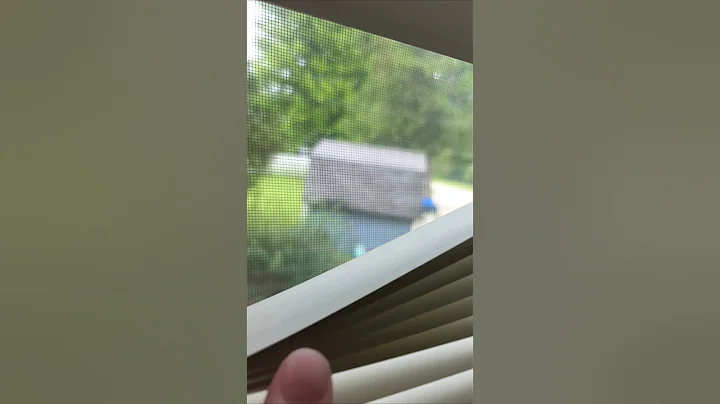 joke of the Day #jokeoftheday #jokes #funny #lol #humor #humanity