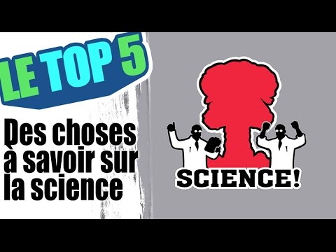 Vidéo: Les chiens comprennent la parole humaine et cela peut être vu sur un tomographe