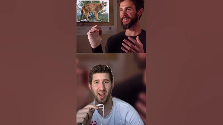 MAN KILLS MOUNTAIN LION WITH BARE HANDS - SKIT/STORY #Shorts