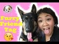 Furry Friend Tag | German Shepherd