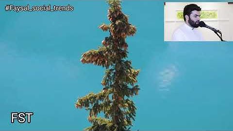 القران الكريم سورة الفاتحة تلاوة عبد القادر الكردي  Kur'an-ı Kerim Fatiha Suresi