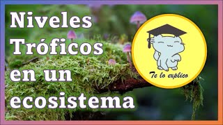 NIVELES TRÓFICOS EN EL ECOSISTEMA