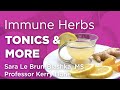 Immune herbs tonics enhancers  more  wholisticmatters podcast  special series medicinal herbs