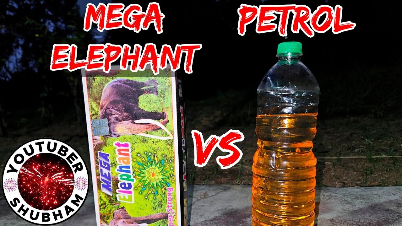 Mega Elephant Sutli vs Petrol - Diwali Experiment 2025