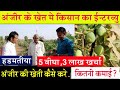 अंजीर की खेती कैसे होती हैं - किसान से मुलाकात - ANJIR KI KHETI - गांव Hadmatiya | Fig farming