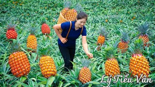 How to harvest Pineapple & Goes to the market sell  Harvesting and Cooking | Daily Life