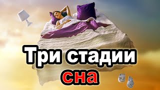 Вы всё это время спали НЕПРАВИЛЬНО! 😱 Как просыпаться бодрым каждый день❓🛏️