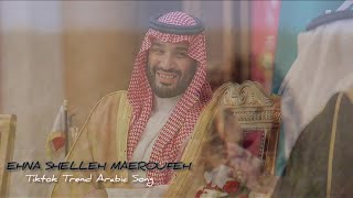 Ehna Shelleh Maeroufeh √ Tiktok Trend Mafia Song | Arabic Orginal