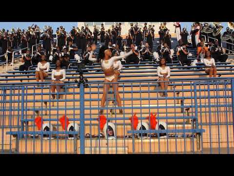 Golden Felines- Hunnid Bands