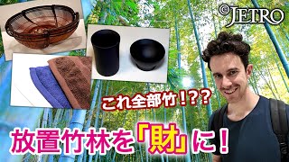 Turning abandoned bamboo forests from harm to wealth!] What are