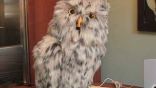 Animatronic Owl Final Animation test