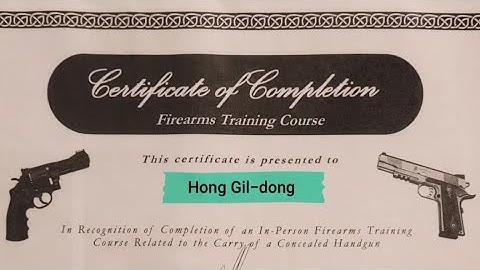 Self-Defense Firearm License Training