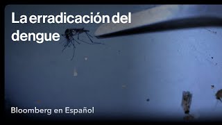 Cómo se revierte la enfermedad de más rápido esparcimiento del mundo