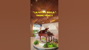 Tiệc cưới như trong truyện cổ tích ngay giữa lòng Sài Gòn