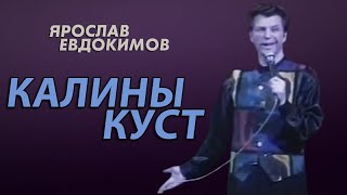Ярослав Евдокимов - Калины Куст