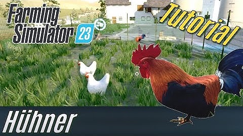 LS23 Tutorial: Hühner