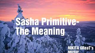 Sasha Primitive- The Meaning(Original mix).