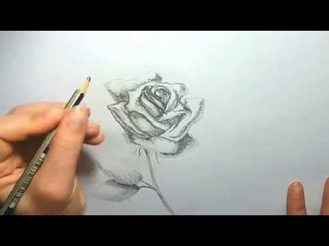 Trandafir In Creion Pas Cu Pas Desen In Creion Flori How To Draw A Rose Pencil Drawing Tutorial Youtube