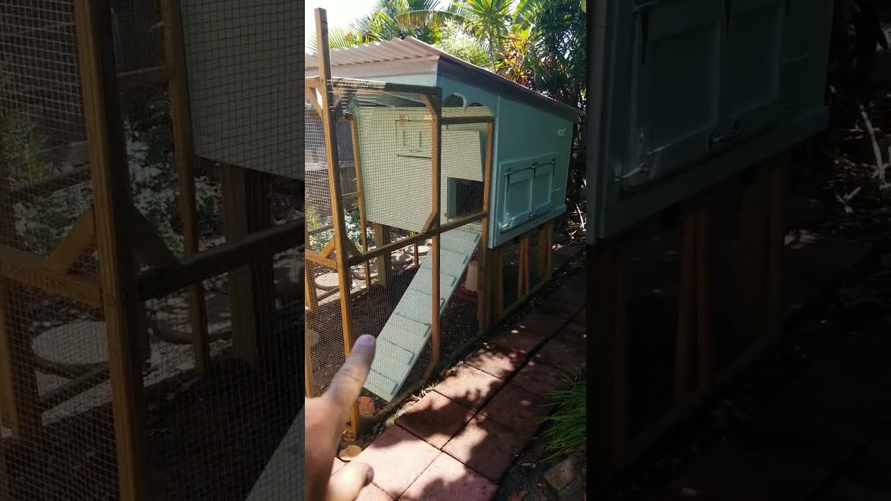 Chicken Coop Design Things To Consider As You Build Your Hen House And Run