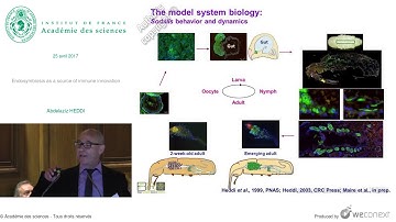 [Conférence] A. HEDDI - Endosymbiosis as a source of immune innovation