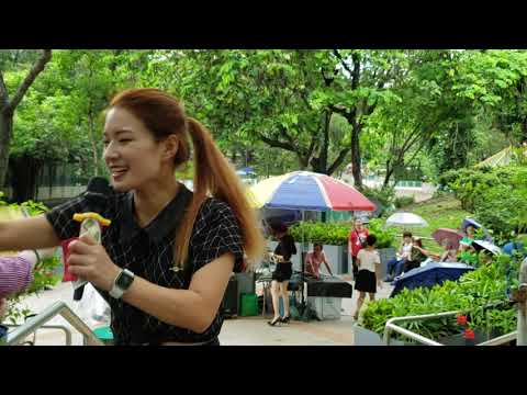 妙妙(沒有喝夠) 屯門公園 24-6-2019