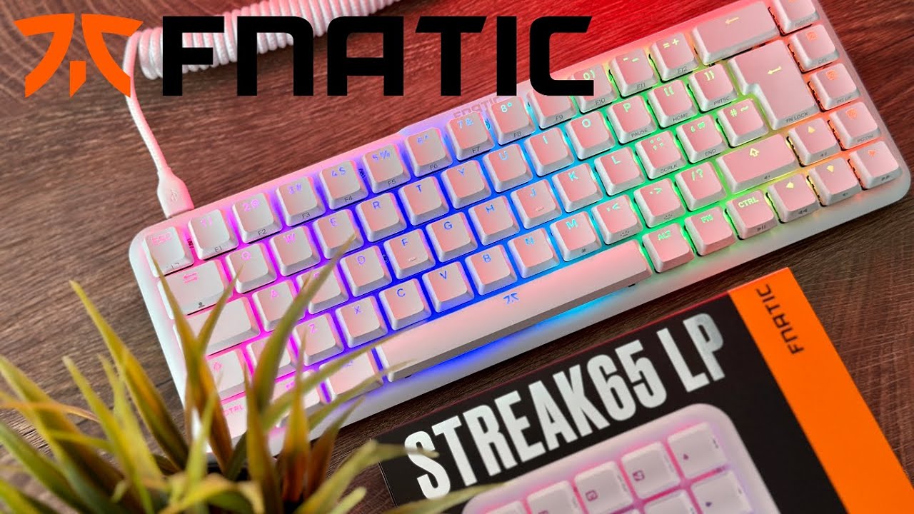 FNATIC Streak65 LP - The Perfect Weapon for Any Gamer! [REVIEW - SPEED LOW  PROFILE SWITCHES]