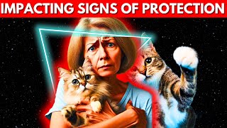 ATTITUDES OF A PROTECTIVE CAT | LEARN TO IDENTIFY