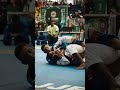 Tainan Dalpra displaying beautiful jiu-jitsu 💎 #IBJJFBrasileiros